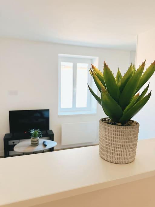 Le Studio - Cocon Scandinave - Parking Gratuit Pont-de-Veyle Bagian luar foto