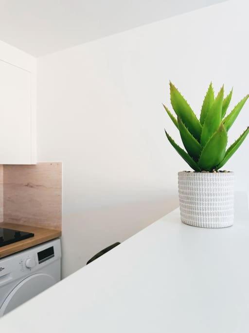 Le Studio - Cocon Scandinave - Parking Gratuit Pont-de-Veyle Bagian luar foto